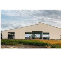 China Industrial Metal Workshop Light Steel Structure Building